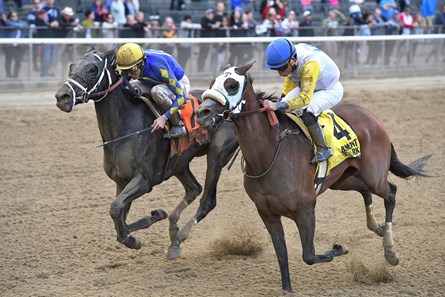 Eskenformoney wins the 2017 Turnback the Alarm Handicap
