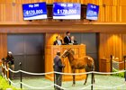 Hip 200, an Into Mischief colt, topped the sale at $170,000