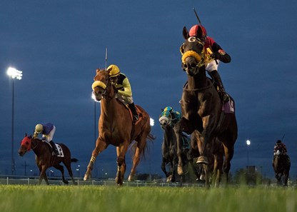 My Bariley winning the Hawthorne Derby at Hawthorne Racecourse on 10/29/17. Santo Sanjur up.