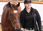 Lot 530, a Lope de Vega filly, sold for 370,000 guineas