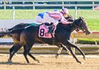 Bay of Cats runs down The Bay Express to get her first win at Delaware Park Oct. 19