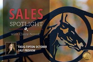 Fasig-Tipton October Yearling Sale Preview