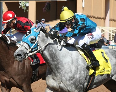 Diabolical Dame wins the 2017 New Mexico Classic Cup Distaff Sprint Championship Stakes