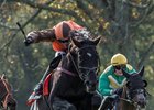 Danny Mullins guides Mr. Hot Stuff over the final fence in the Grand National at the Far Hills Races