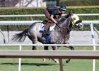 Hunt works over the turf at Santa Anita Oct. 22