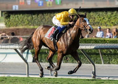 Lull wins the 2017 Autumn Miss Stakes