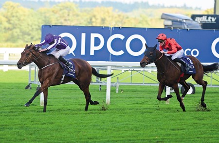 ASCOT 21-10-2017. Qipco Fillies & Mares Stakes.
HYDRANGEA and Ryan Moore win from BATEEL for trainer Aidan O'Brien and equelled the record for Group 1 wins in a season held by Bobby Frankel.
Photo Healy Racing / Racingfotos.com
THIS IMAGE IS SOURCED FROM AND MUST BE BYLINED "RACINGFOTOS.COM"