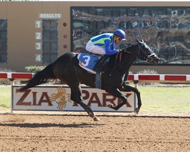 Fast Gator wins the 2017 New Mexico Classic Cup Lassie Championship