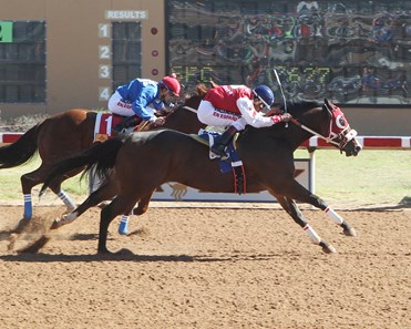 Major Bites wins the 2017 Rocky Gulch New Mexico Classic Cup Champion Stakes