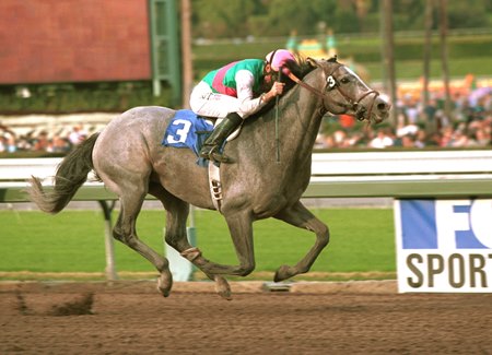 Mizzen Mast leads Giant Gentlemen to the finish line in the Malibu Stakes.