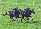 Lady Aurelia (inside) works with Master Merion at Keeneland