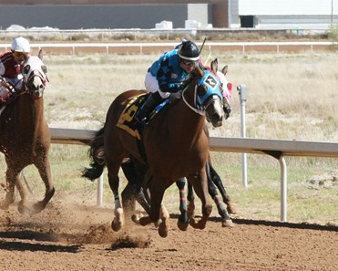 Tag Yur It wins the 2017 New Mexico Classic Futurity Stakes