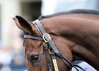 Multiple grade 1 winner New Money Honey made her seasonal bow on June 21, winning an allowance race at Belmont Park