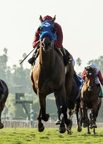 Sharp Samurai and jockey Gary Stevens win the G2, $200,000 Twilight Derby, Saturday, October 28, 2017 at Santa Anita Park, Arcadia CA.