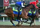 Abel Tasman works at Santa Anita Oct. 22