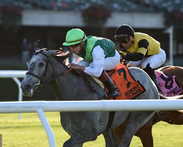 Significant Form wins the 2017 Miss Grillo Stakes (G3T)