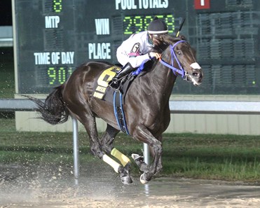 Mr. Al's Gal wins the 2017 Magnolia Stakes