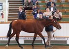 Lot 1063, a Sea The Stars colt, brought 850,000 guineas Oct. 11