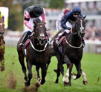 Aclaim wins the 2017 Qatar Prix De Le Foret