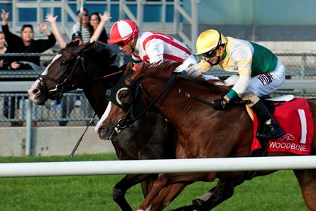 Inflexibility wins the 2017 Carotene Stakes