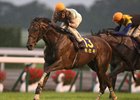Kiseki and Mirco Demuro win the Kikuka Sho