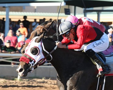 Hute wins the 2017 Rocky Gulch New Mexico Classic Cup Championship Stakes
