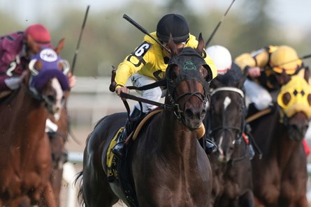 Eurico Da Silva guides Mr Havercamp to victory in the 2017 Bunty Lawless Stakes