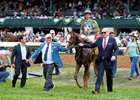 Dennis Albaugh (left) and Jason Loutsch (right) lead in Free Drop Billy after the Breeders' Futurity