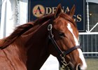 Hip 339, a Ghostzapper colt consigned by his breeder Adena Springs