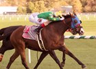 Talk Show Man gets by Ben's Cat to win the Maryland Million Turf.