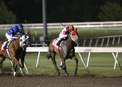 Diamondandstripes wins the 2017 Oklahoma Classics Juvenile Stakes