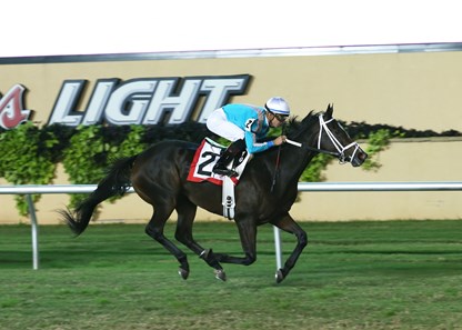 Gianna's Dream wins the 2017 Oklahoma Classics Distaff Turf