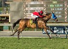 Sharp Samurai carries Gary Stevens to the jockey's sixth Twilight Derby score at Santa Anita Park