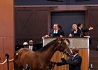 Hip 28, a filly by Bodemeister out of the Awesome Again mare Pink Champagne, sells for $140,000