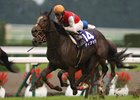 Deirdre and Christophe Lemaire fly down the stretch to win the Shuka Sho