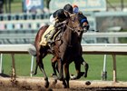Beautiful Shot wins the 2017 Speakeasy Stakes