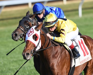 Big Bend with Drayden Van Dyke up wins the 2017 Anthem Sycamore for trainer Tom Proctor and owner Union Rags RacingLLC (Damian Lynch), 2017 Keeneland Fall Meet