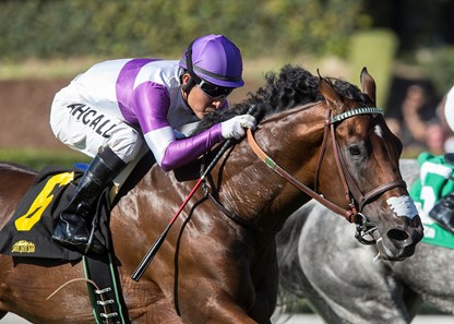 Reddam Racing's B Squared and jockey Mario Gutierrez win the $100,000 California Flag Handicap, Saturday, October 21, 2017 at Santa Anita Park, Arcadia CA.