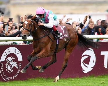 Enable wins the 2017 Qatar Prix de l'Arc de Triomphe (G1)