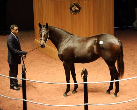 Samantha Siegel of Jay Em Ess Stable went to $275,000 for Hip 96, a daughter of Ghostzapper