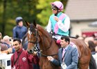 Qatar Prix de l'Arc de Triomphe winner Enable is one of the four nominees for Cartier Horse of the Year