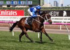 Winx wins the Seppelt Turnbull Stakes at Flemington by 6 1/2 lengths