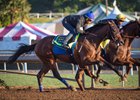 West Coast (outside) works with Cat Burglar Oct. 15 at Santa Anita