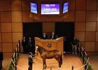 Hip 1178, an Into Mischief colt, was one of two yearlings to sell for $400,000 on the last day of the Fasig-Tipton October sale