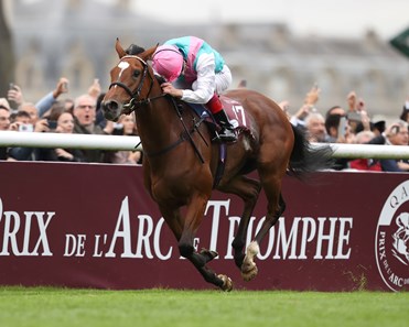 Enable wins the 2017 Qatar Prix de l'Arc de Triomphe (G1)