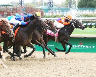 Fight On wins the 2017 Spendthrift Juvenile Stallion Stakes