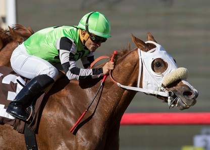 How Unusual wins the 2017 Red Carpet Handicap