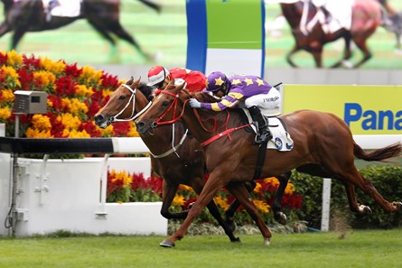 Western Express (purple) just gets up to defeat Wah May Friend to win the Panasonic Cup under Joao Moreira at Sha Tin on November 11 2017