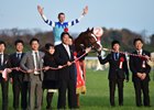 Cheval Grand and his connections celebrate their Japan Cup victory at Tokyo Racecourse