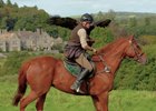 Shubaat enjoys his new career at Dartmoor Hawking